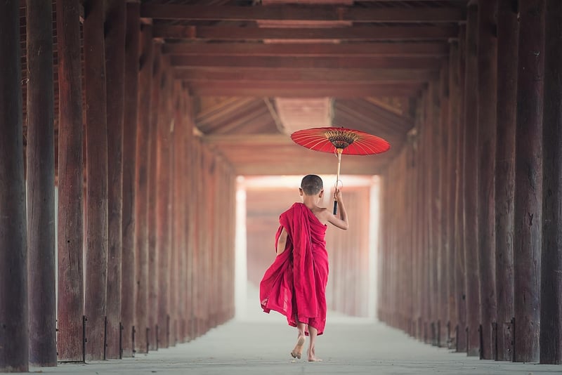 Tai Chi Image